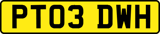 PT03DWH
