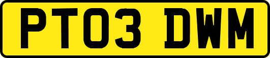 PT03DWM
