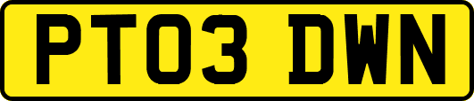 PT03DWN
