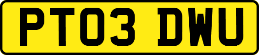 PT03DWU