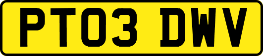 PT03DWV