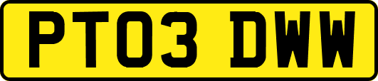 PT03DWW