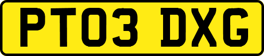 PT03DXG