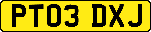 PT03DXJ