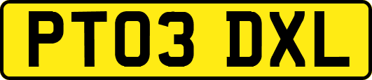 PT03DXL