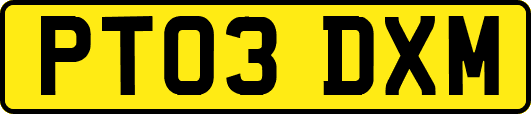 PT03DXM