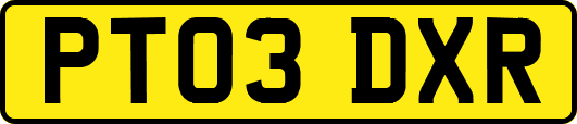 PT03DXR
