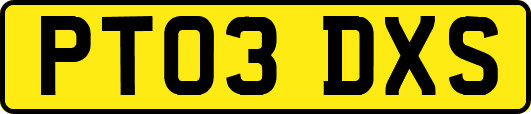 PT03DXS