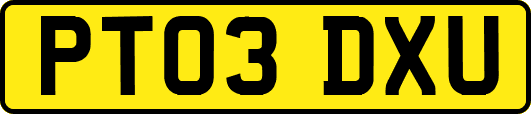 PT03DXU