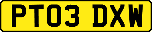 PT03DXW
