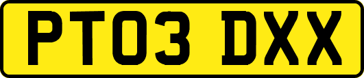 PT03DXX