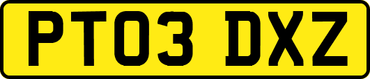 PT03DXZ