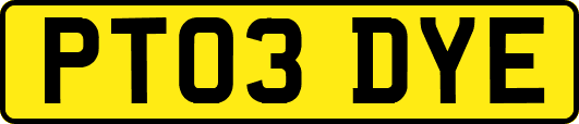 PT03DYE