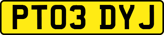 PT03DYJ