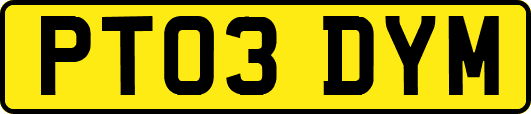 PT03DYM