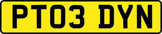 PT03DYN
