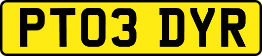 PT03DYR