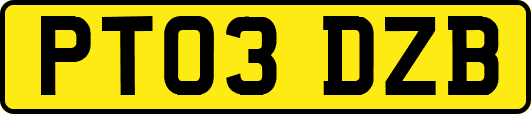PT03DZB