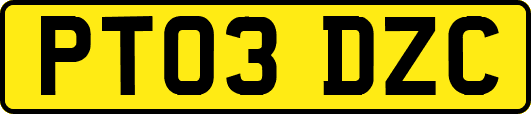 PT03DZC