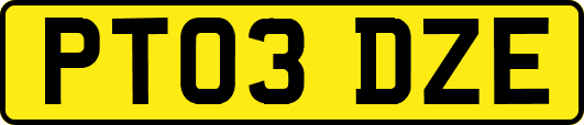 PT03DZE