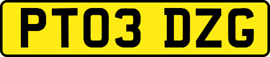 PT03DZG