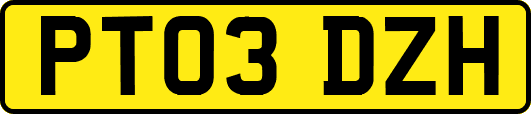PT03DZH