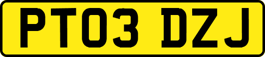 PT03DZJ