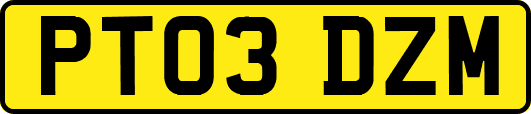 PT03DZM