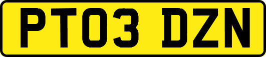 PT03DZN