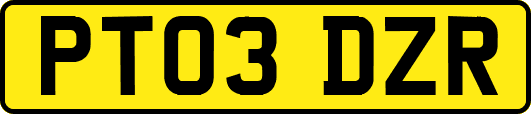 PT03DZR