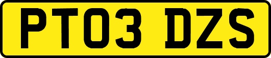 PT03DZS
