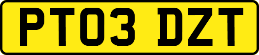 PT03DZT