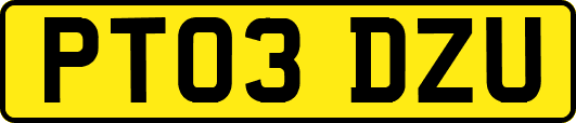 PT03DZU