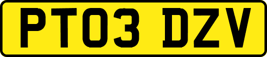 PT03DZV
