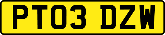 PT03DZW