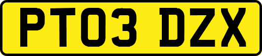 PT03DZX