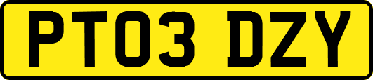 PT03DZY