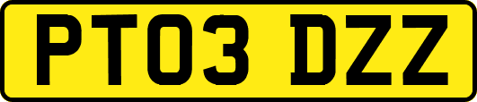 PT03DZZ