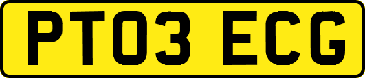 PT03ECG
