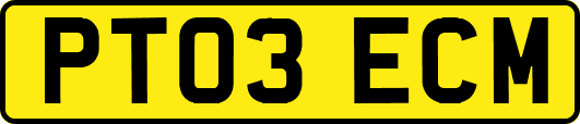 PT03ECM