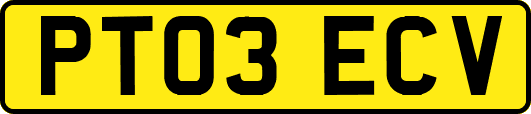 PT03ECV