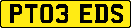 PT03EDS