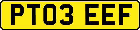 PT03EEF