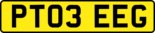 PT03EEG