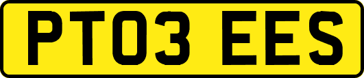 PT03EES
