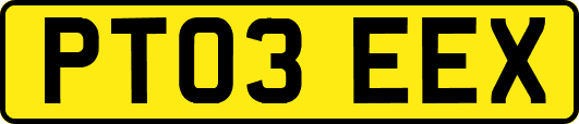 PT03EEX