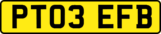 PT03EFB
