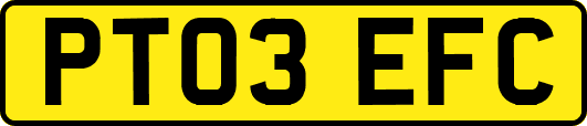 PT03EFC
