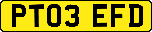PT03EFD