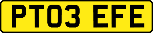 PT03EFE